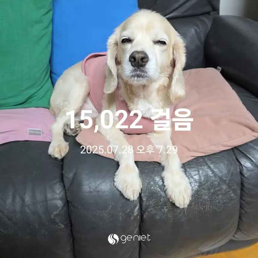 월요일 마무리 