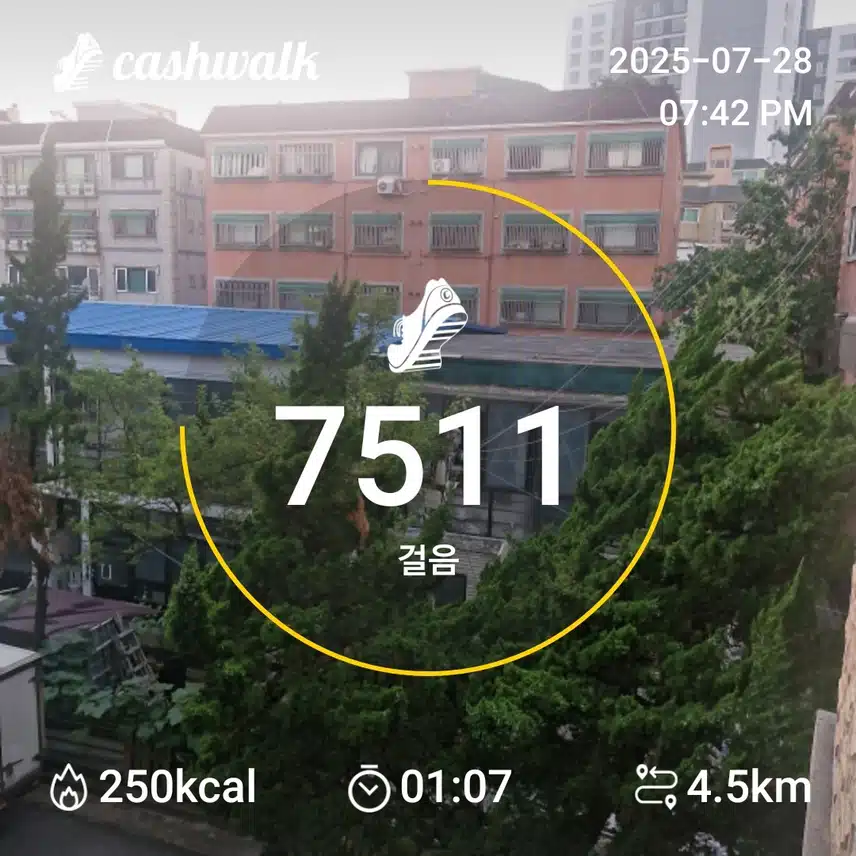 인증