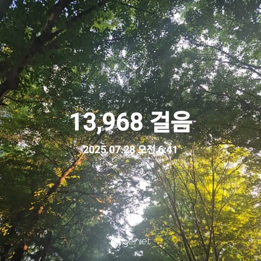 2025년 7월 28일 월요일 걷기 