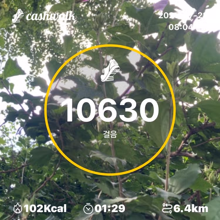 인증