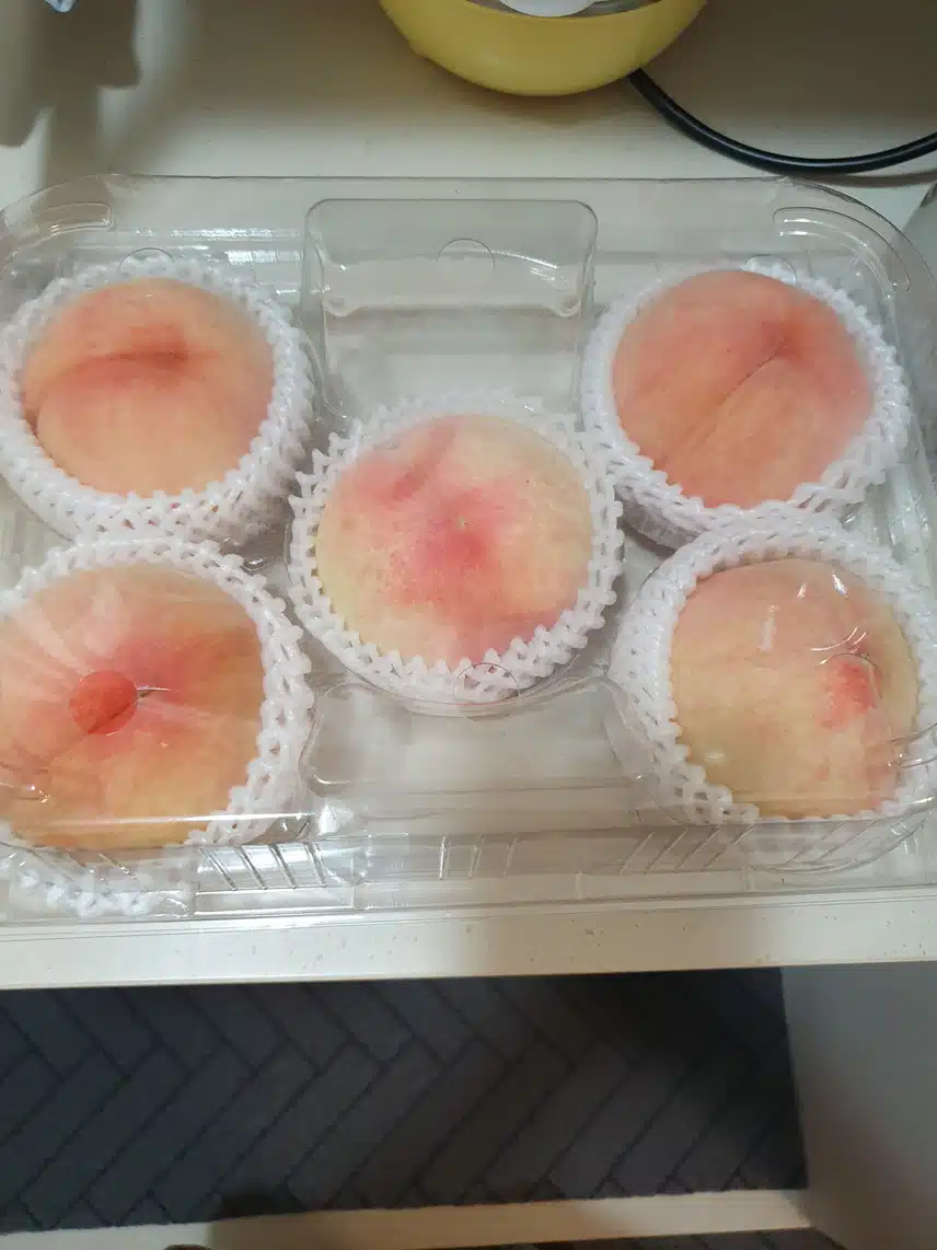 백도랑 황도~♤