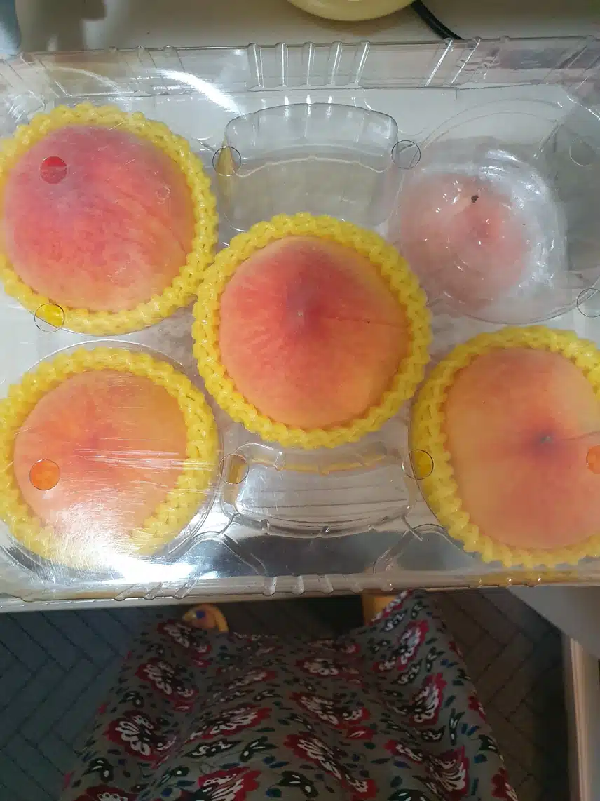 백도랑 황도~♤