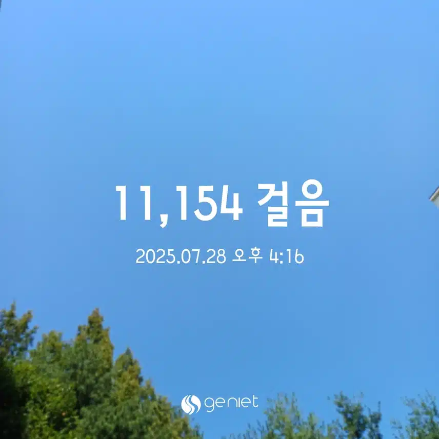월욜 걷기 