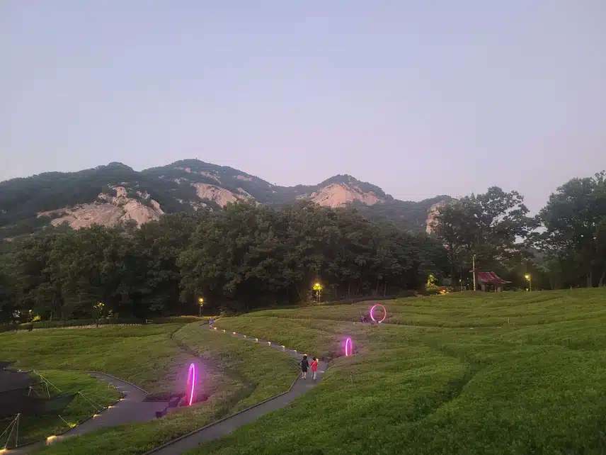 저녁 산책