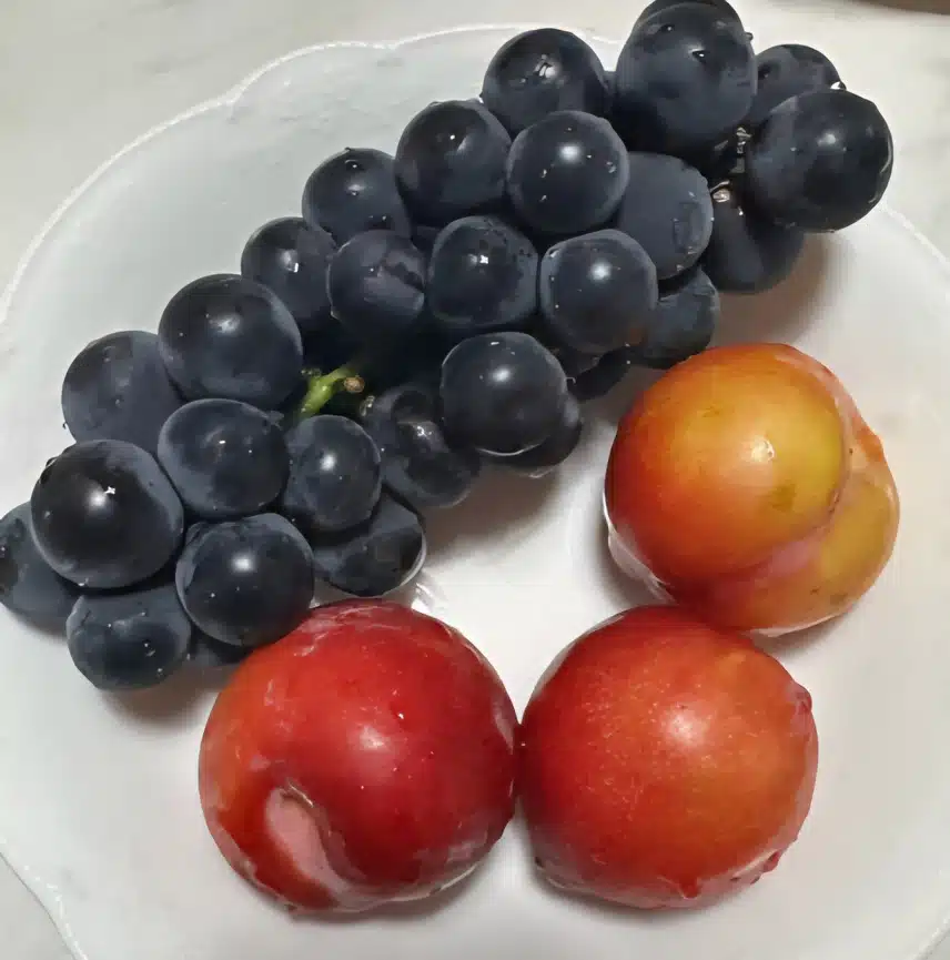 새콤달콤 자두와 포도 먹어요.🍇