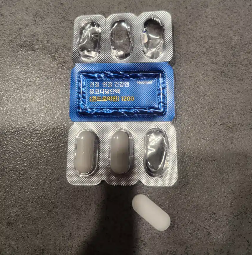 콘드로이친 