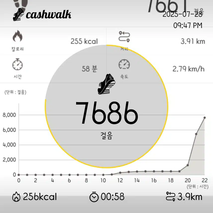 44기 5일차 인증