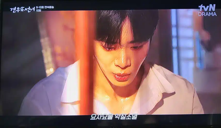 영민한 봉수 책을 읽어서 역살을 날려요