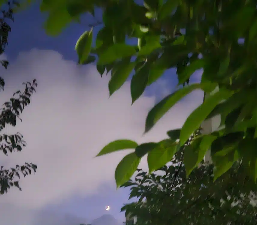초승달 예쁜 산책길 걸었네요.🌙 