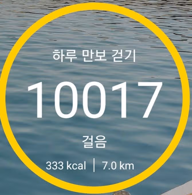 미션완료