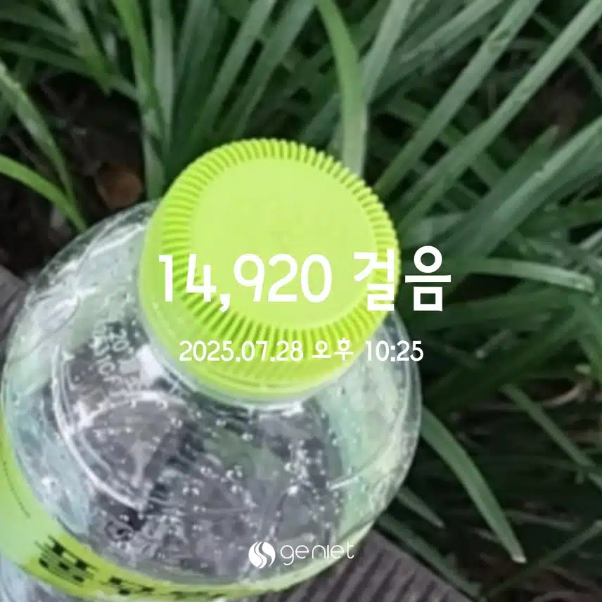 만보걷기 
