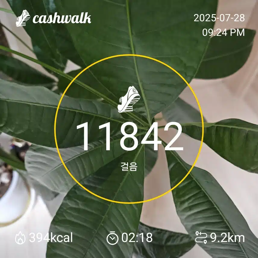 인증