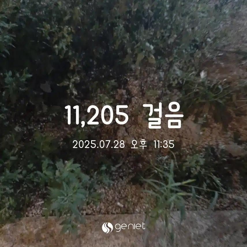 걷기완료