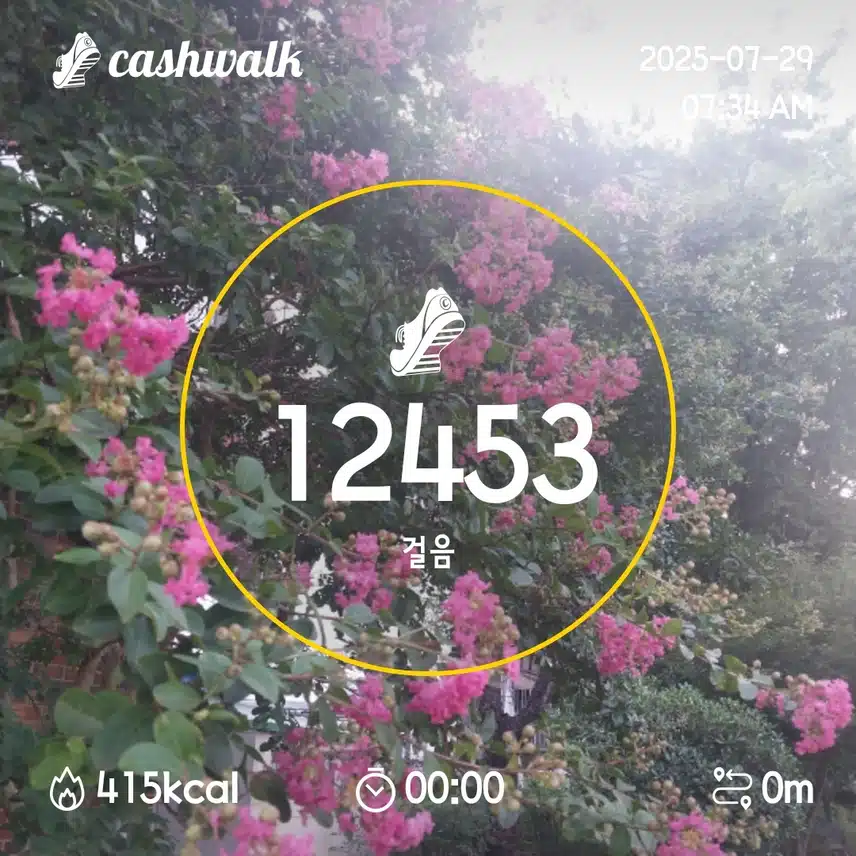 2일차