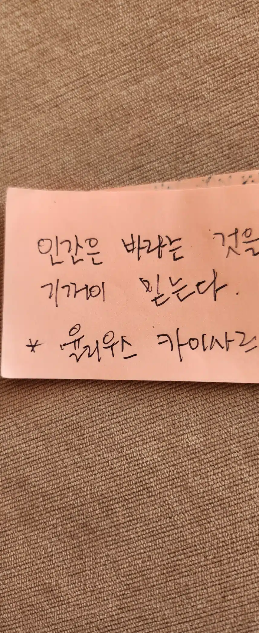 인증샷