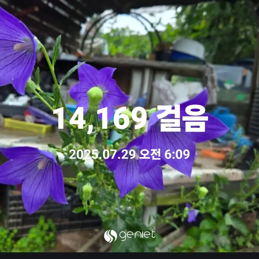    아침 운동 다녀와서 몸풀기 루틴