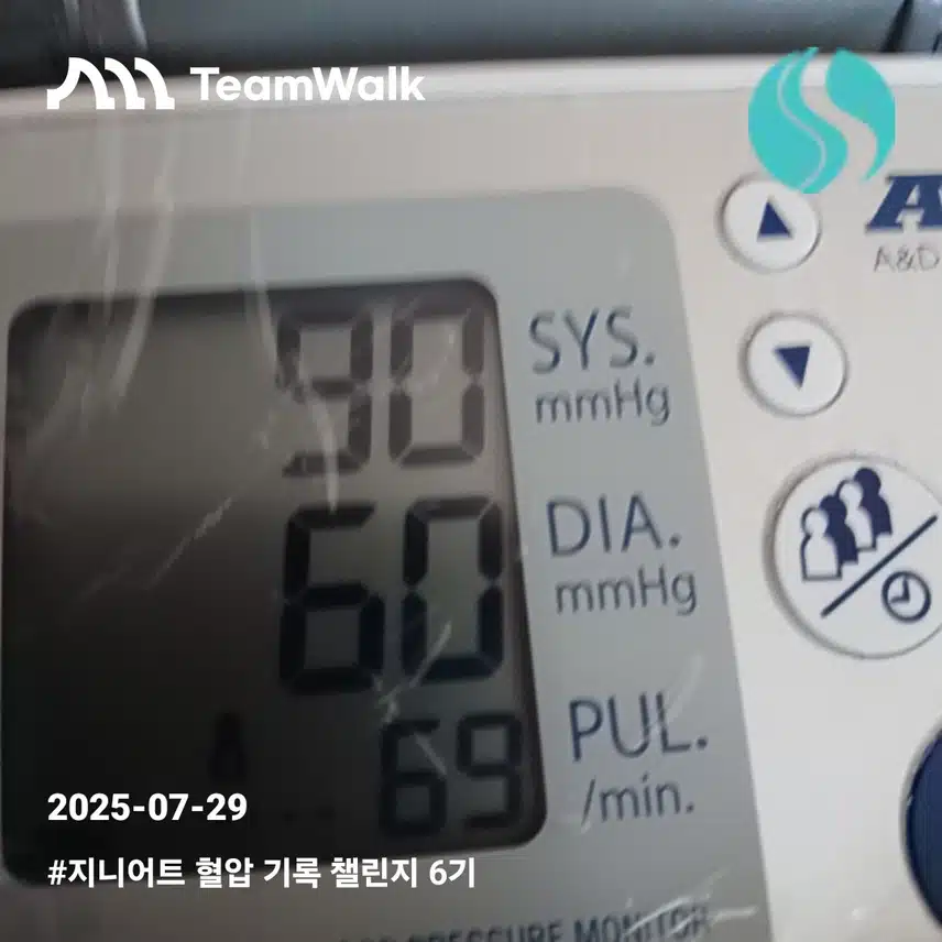혈압9일차인증