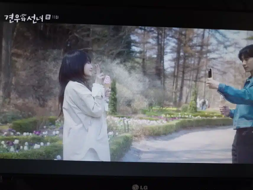 11화 촬영지 가평 아침고요수목원?같아요