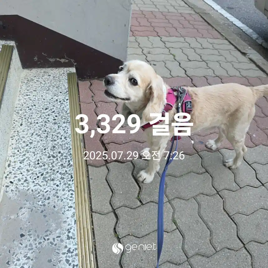 화요일 아침