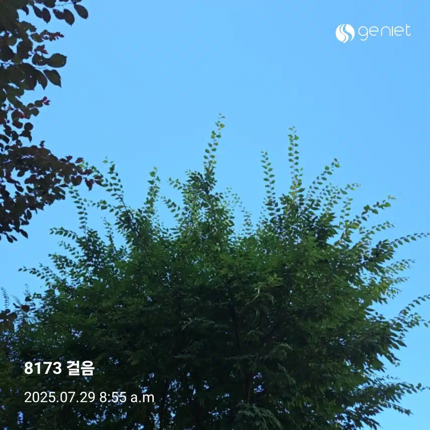 아침 산책 하늘 바라보며~🏃