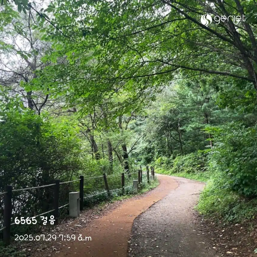 아침 숲속길따라🏃‍♀️