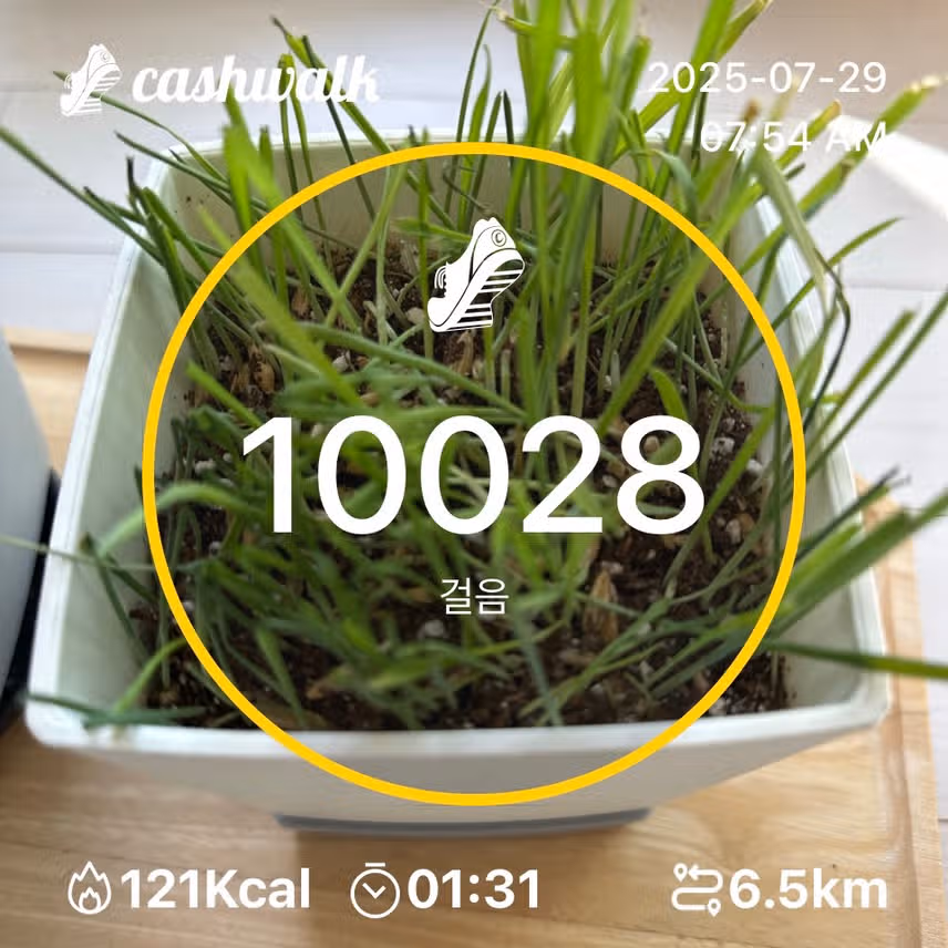 인증