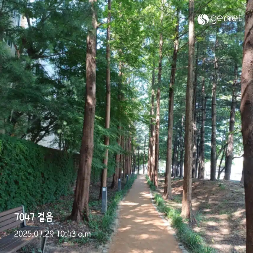 오전 걷기 
