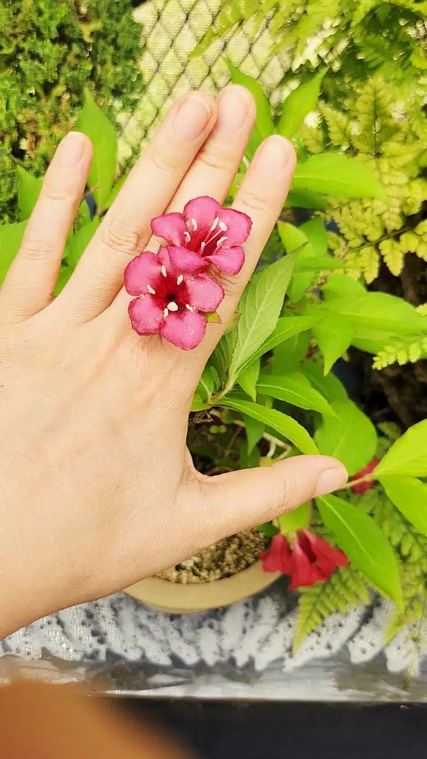 꽃반지 끼고~~~🌸