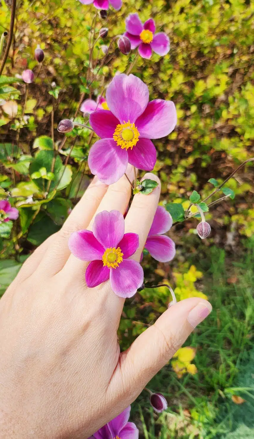 꽃반지 끼고~~~🌸