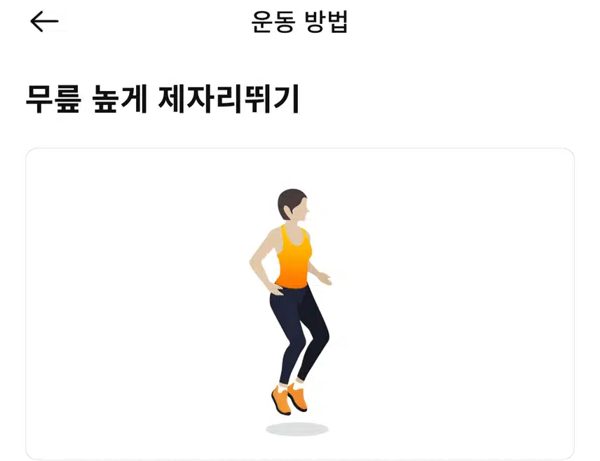 (캐시홈트) 초보도 쉽게 따라할수있는 점핑 운동 