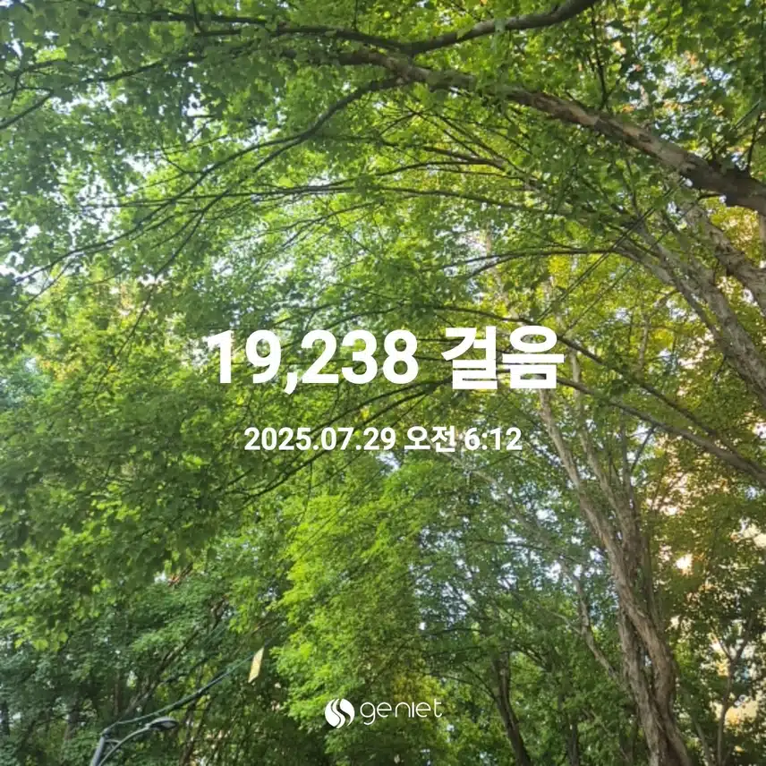 2025년 7월 29일 화요일 걷기