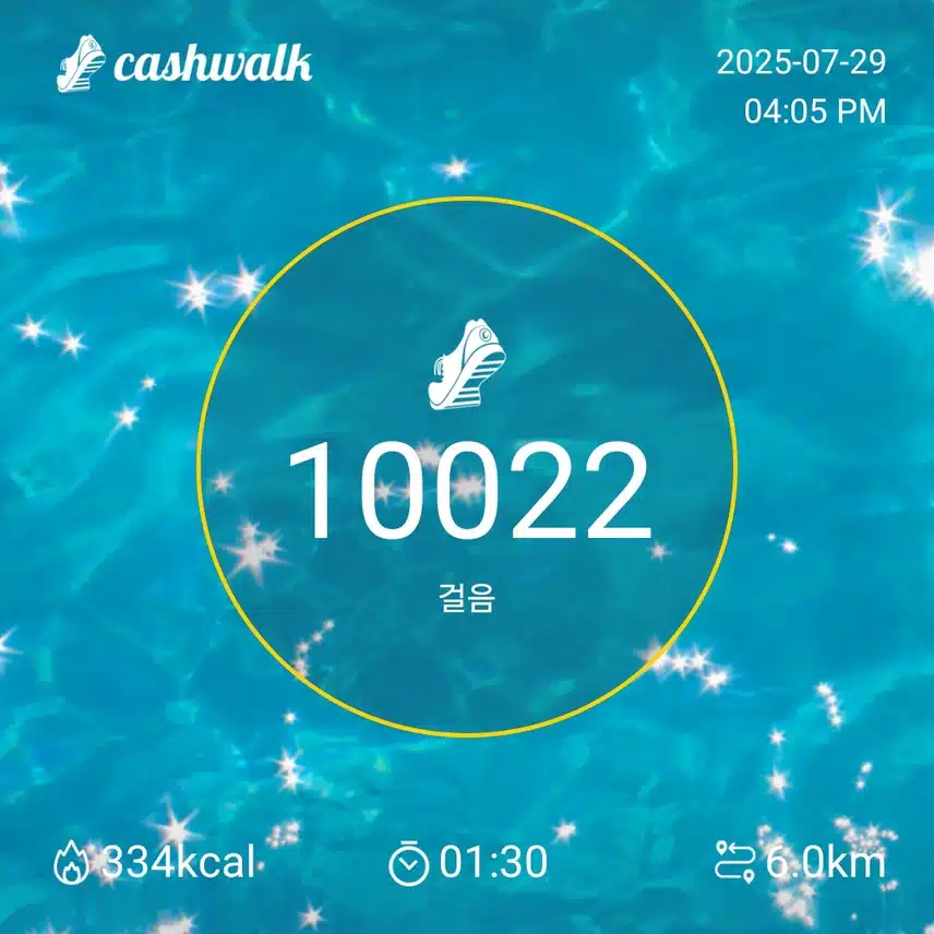 10000 보걷기
