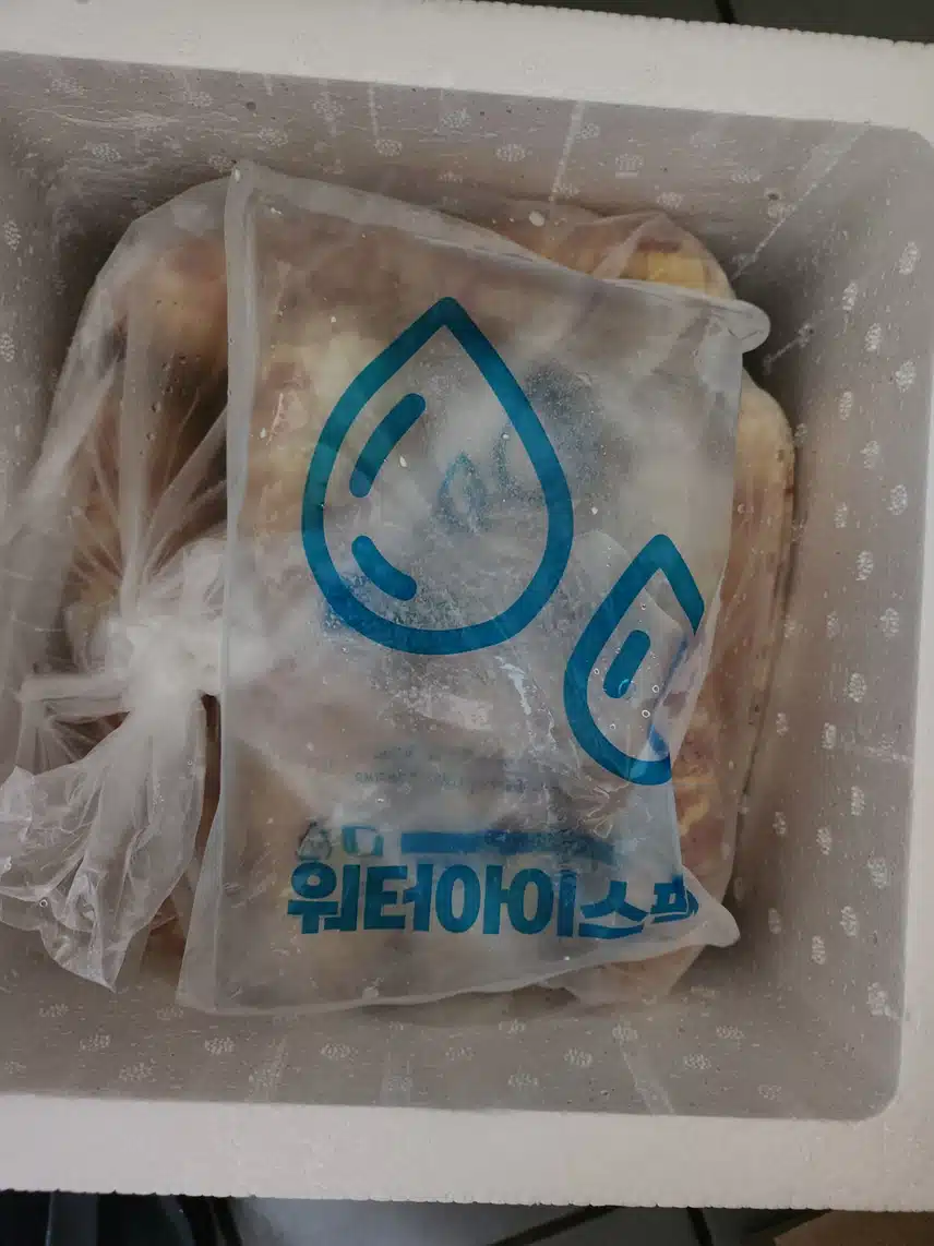 옥수수 선물