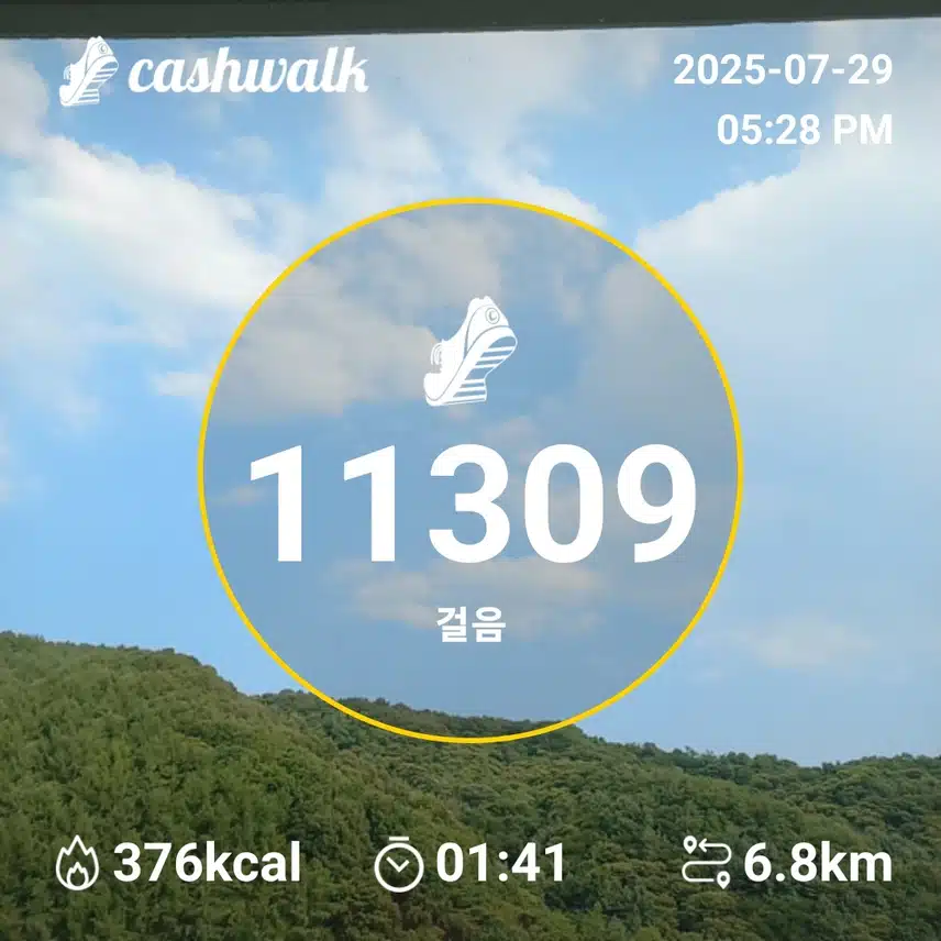44기6일차