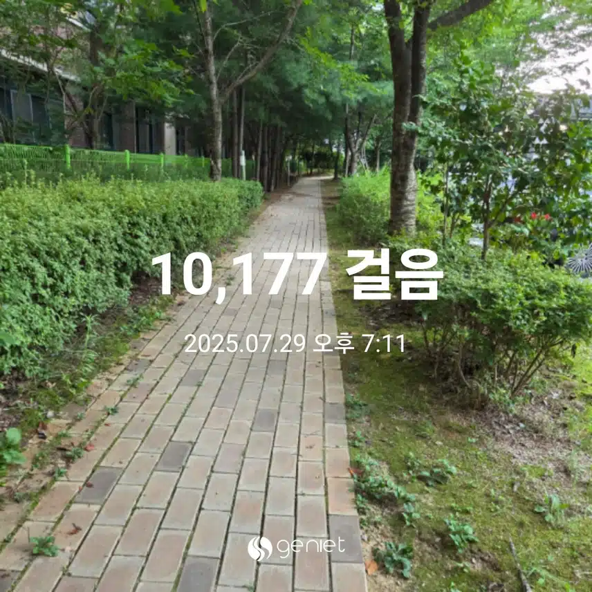만보걷기 완주