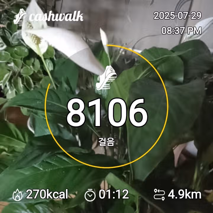 인증