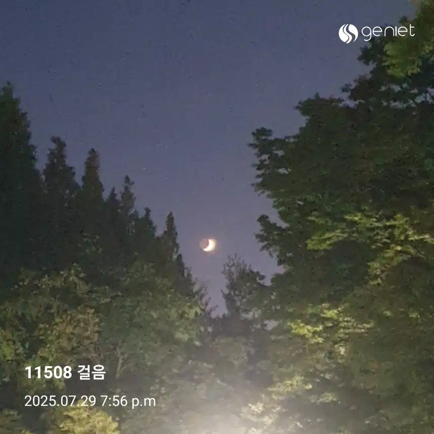 초생달이 떳어요