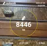 board-img