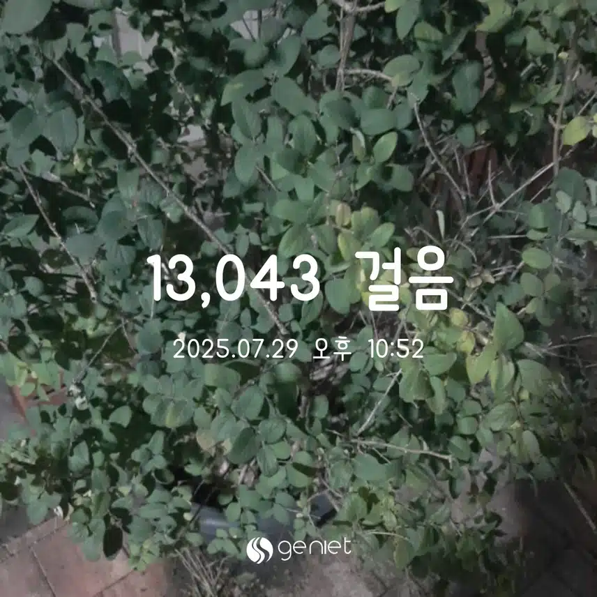 걷기