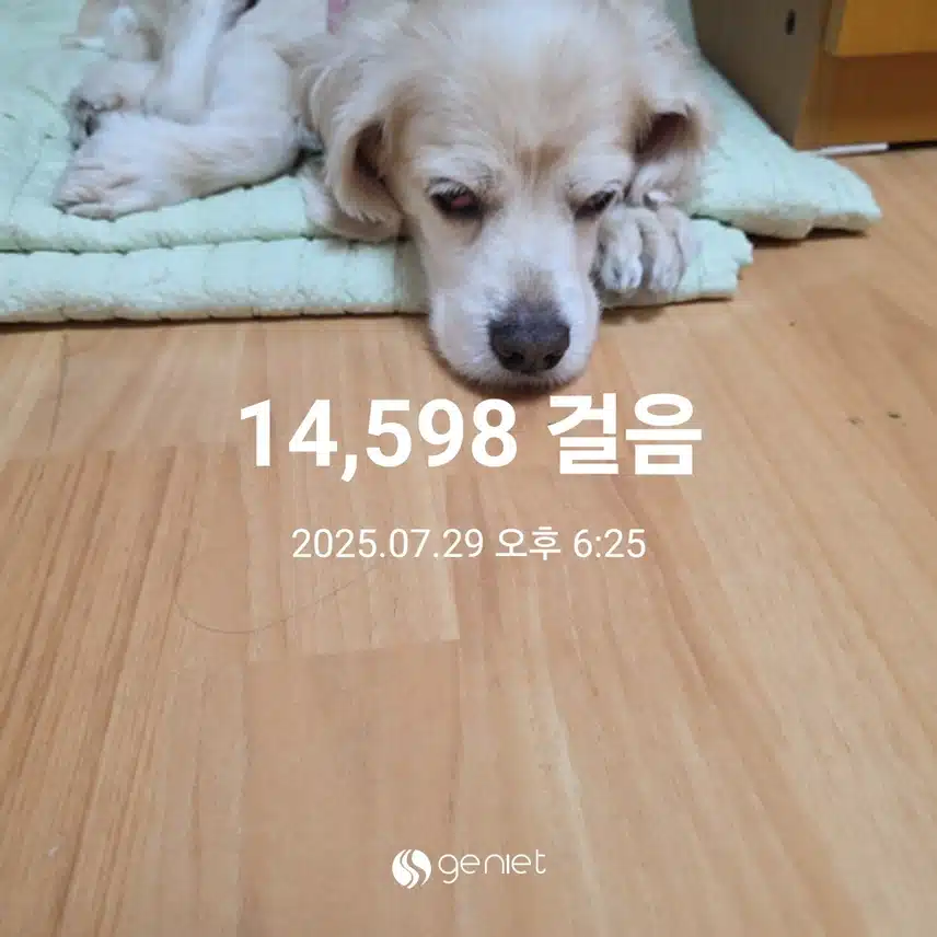 화요일 마무리 
