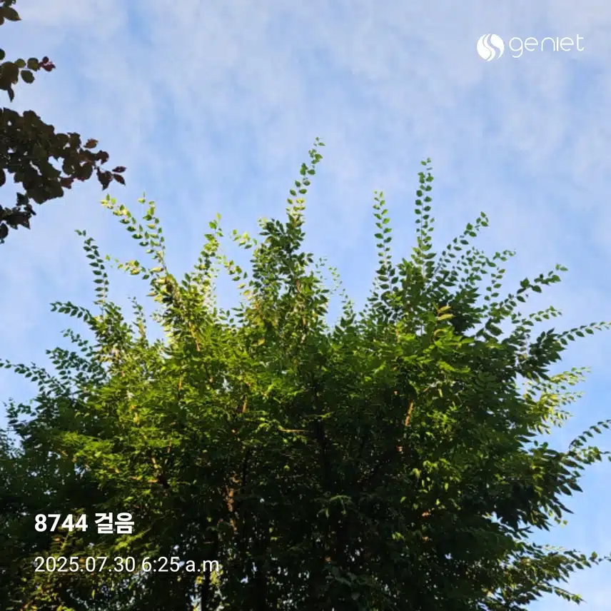 아침 산책으로 🏃 