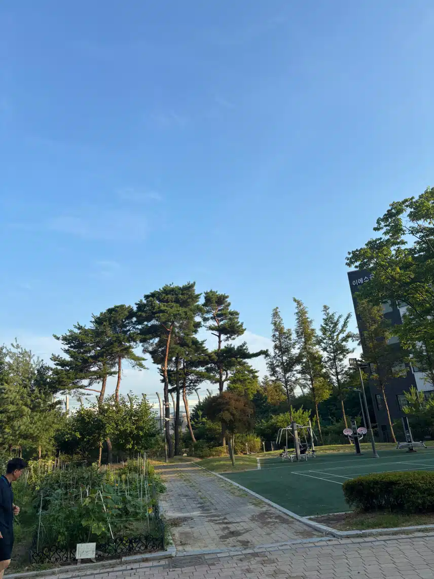 아침산책🏞️