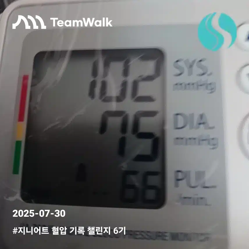 혈압10일차인증