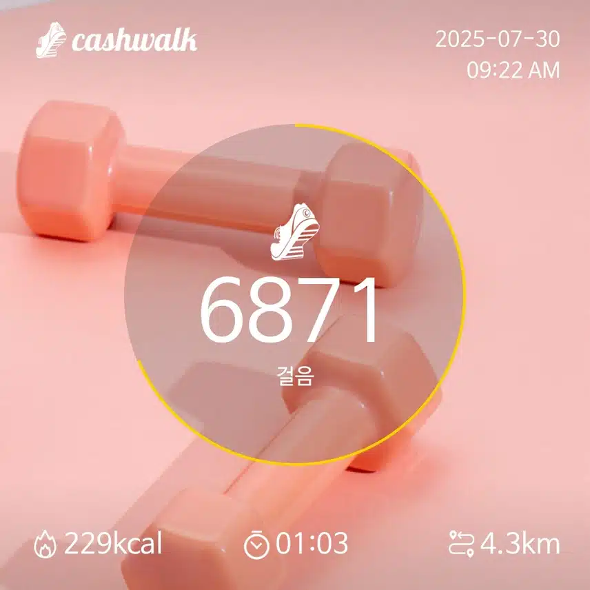 인증