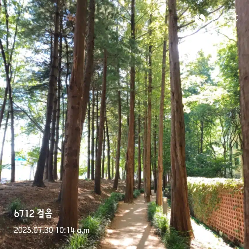 오전 운동 