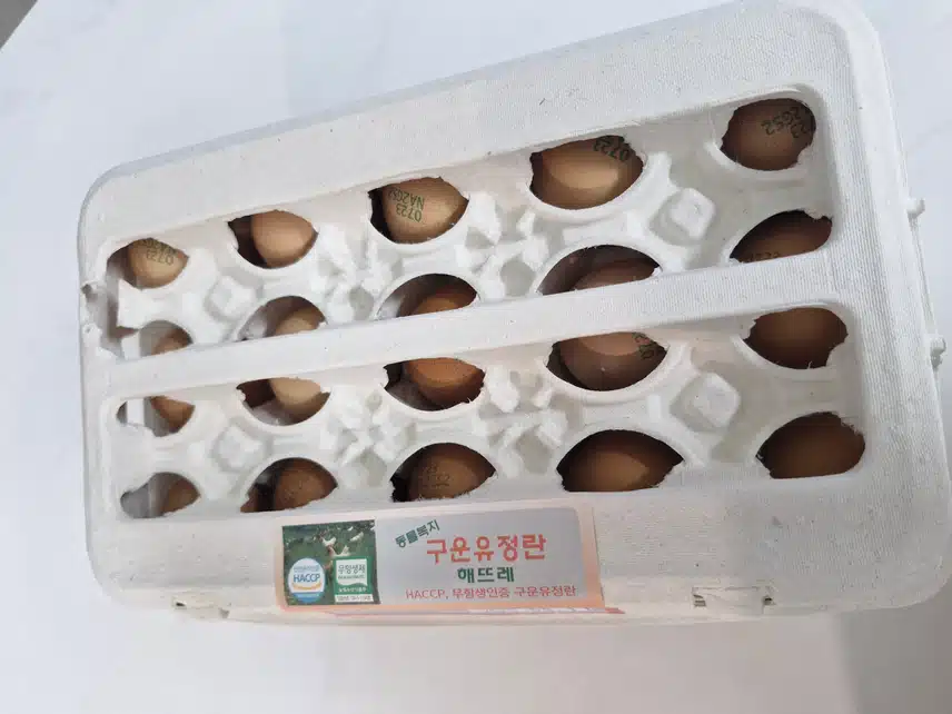 단백질 충전...