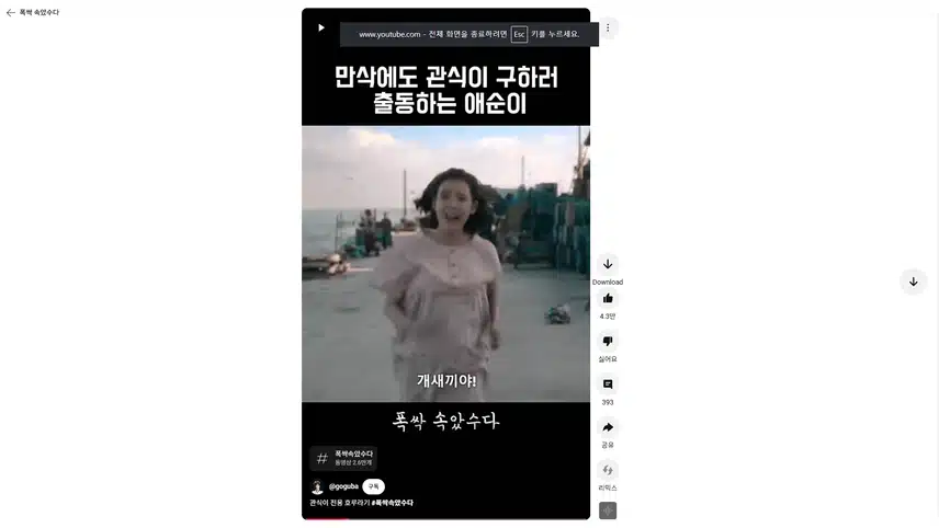 만삭에도 관식이 일에 뛰어나가는 애순이 짠했네요