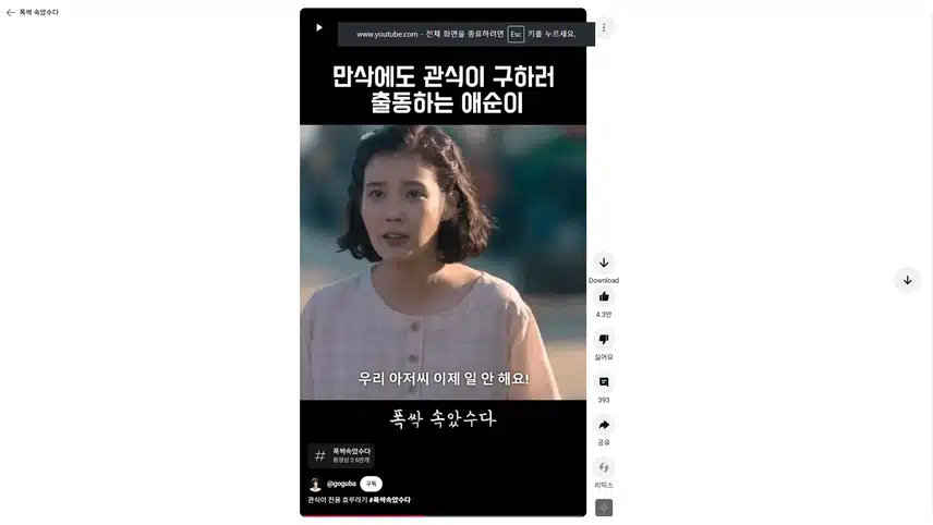 만삭에도 관식이 일에 뛰어나가는 애순이 짠했네요