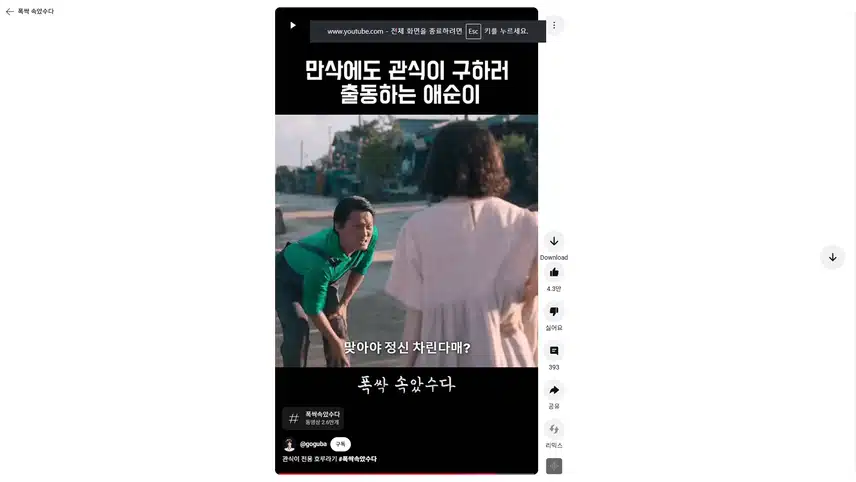 만삭에도 관식이 일에 뛰어나가는 애순이 짠했네요