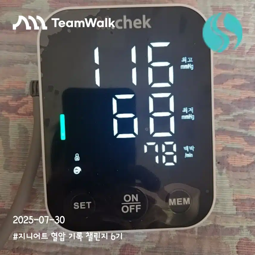 10일차